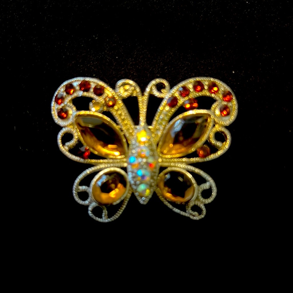 Butterfly 🦋 brooch